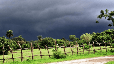 Типичный сельский пейзаж Гамбии в преддверии грозы