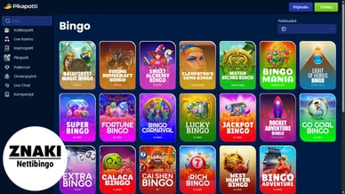 bingo kasino