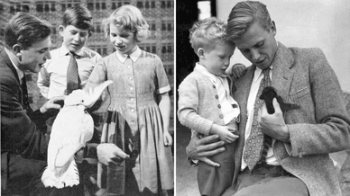 Архівні фотографії молодого сера Девіда Аттенборо, зроблені на початку його кар'єри на BBC у 1950-х роках