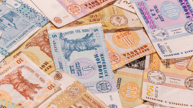 Молдавский лей