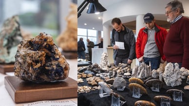 Blejski zbirateljski dnevi 2026