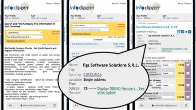 fgs software solutions s.r.l