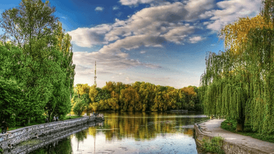 Міський парк