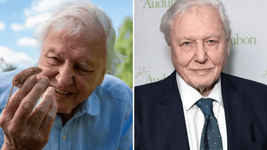 Британський натураліст Девід Аттенборо, тримає на руці мишу-малютку та на одному із заходів товариства Audubon