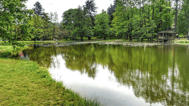 Озеро на території замку