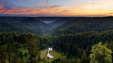 Die natürliche Schönheit des Schwarzwaldes – ein Spaziergang durch den Nationalpark