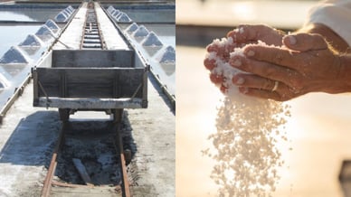 Krajinski park Sečovlje