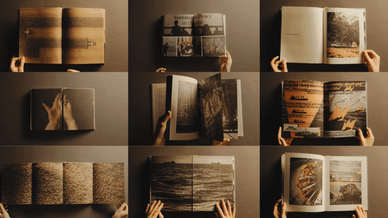 Артбук «Шлях зерна»