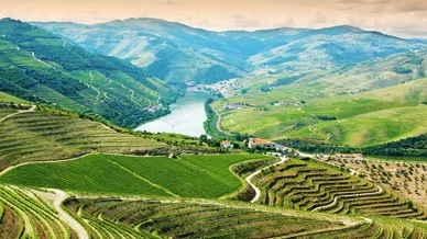 Vale do Douro