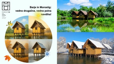 Morostig Delovni čas