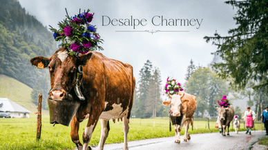 Désalpe de Charmey