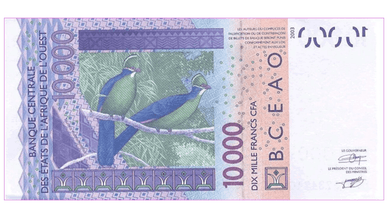 Купюра 10 000 CFA