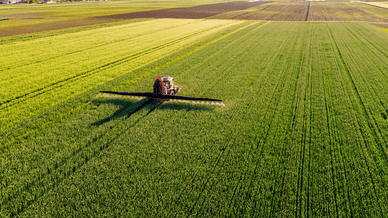 «Кернел», земля