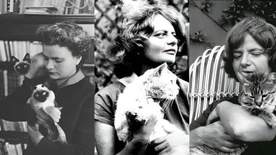 Elsa Morante — amante dei gatti Elsa Morante gatti