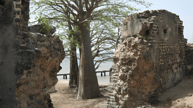 Руины форта Джеймс, расположенного на острове Кунта Кинте (ранее называвшемся островом Джеймс) посреди реки Гамбия