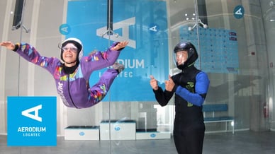 Aerodium Logatec