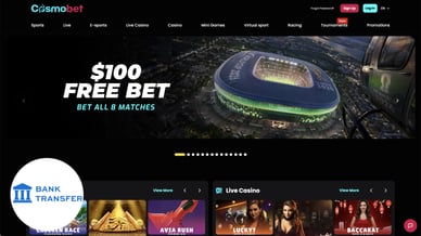 casino that accepts bank transfer deposits