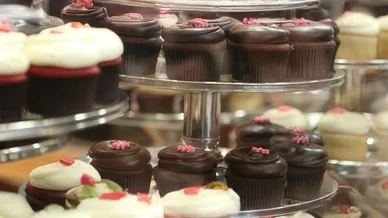 Cupcakes en vitrine de pâtisserie illustrant l’importance de l’Hygiène alimentaire - Présentation générale.