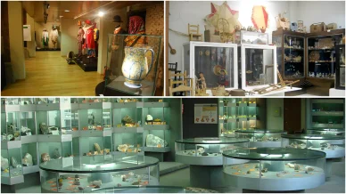 Museos universitarios