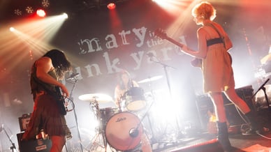 mary in the junkyard