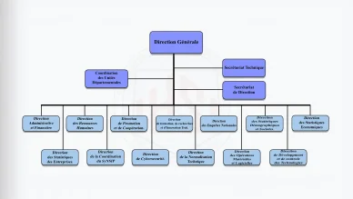 IHSI organigramme directions statistiques. Organigramme IHSI structure administrative.