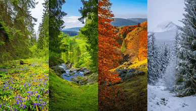 Die vier Jahreszeiten im Harz, Deutschland