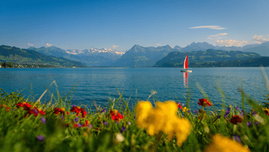 Blick vom blühenden Ufer