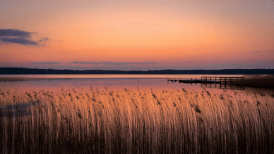 Abendstimmung am Müritzsee