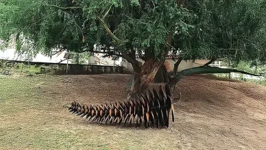 Zamek Niemodlin — Europejski Park Rzeźby