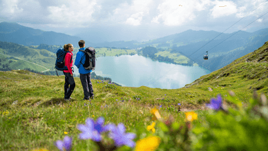 Wanderungen mit Seeblick