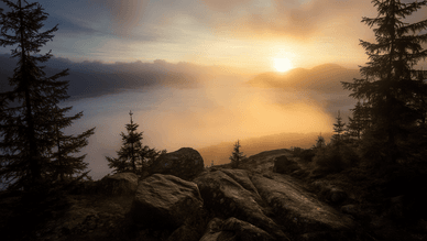 Geheimnisse des Nationalparks Harz