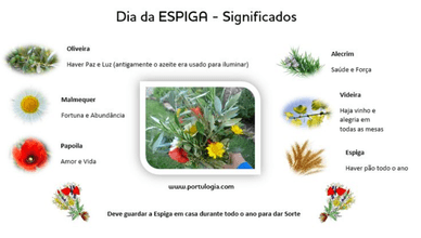 Que flores e ervas simbolizam o bem-estar no Dia da Espiga