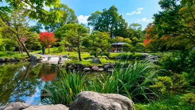 公園についての豆知識 中島公園に関する興味深い事実
