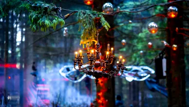 Dekoracje — Las Festival