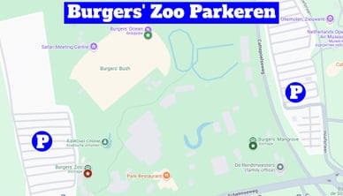 parkeren burgers zoo