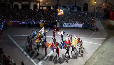 Giostra del Saracino vincitore