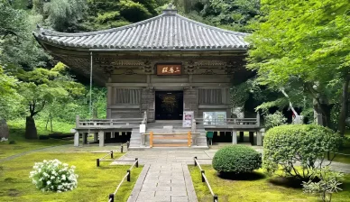 文化財 龍安寺(Ryoanji Temple) 文化財