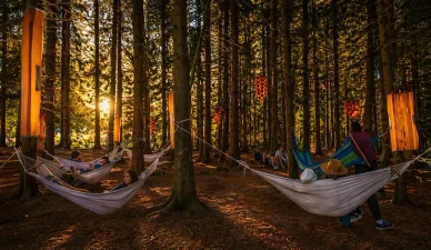 Las Festival — camping