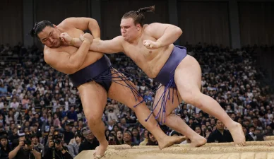 安青錦新大力士としての特徴