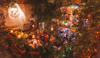 Szimpla Kert ruin bar