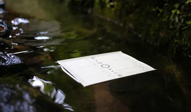 水占(みずうら)みくじ 貴船神社 水占(みずうら)みくじ