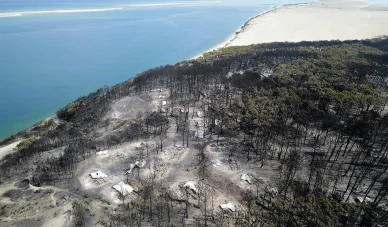 Forêt brûlée après l’incendie près de la dune du Pilat et du bassin d’Arcachon.