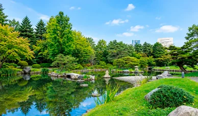 公園の動物や植物 中島公園の動物と植物