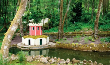 Jardins du Palais de Pena à Sintra. Parc du Palais de Pena à Sintra.