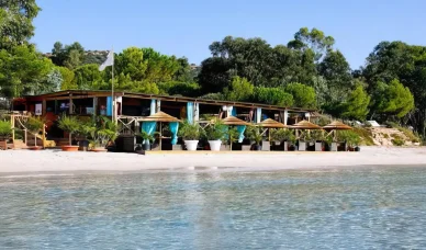 Détente gastronomique au restaurant de la Plage de Palombaggia. Restaurant en bord de mer avec terrasses ombragées sur la Plage de Palombaggia.