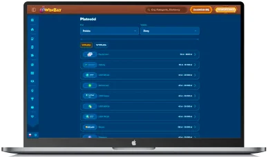 Sposoby płatności w Casino Online WinBay