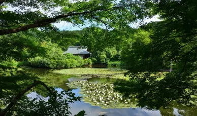 鏡容池(きょうようち) 龍安寺 鏡容池