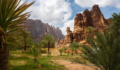 واحة خضراء وأشجار النخيل تحيط بها الجبال الصخرية الشاهقة في محافظة العلا.