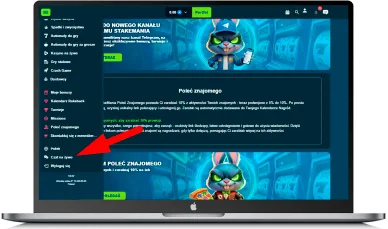 Wsparcie klienta Obsługa klienta w StakeMania Kasyno Online