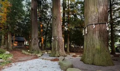 歴史 河口浅間神社 歴史